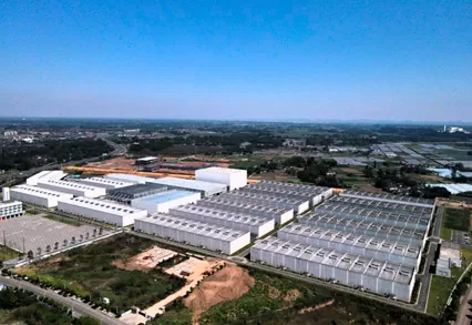 Dự Án bacchus Thành Đô