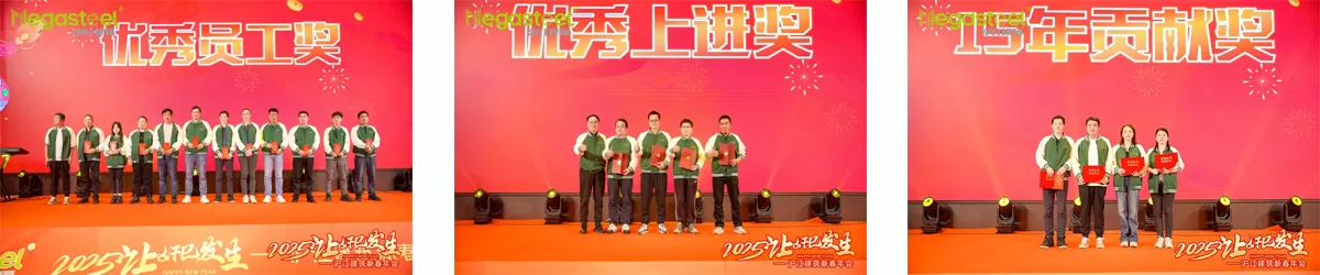 2025 MAKE DREAMS BLOSSOM INTO REALITY | MEGASTEEL SPRING FESTIVAL ANNUAL PARTY